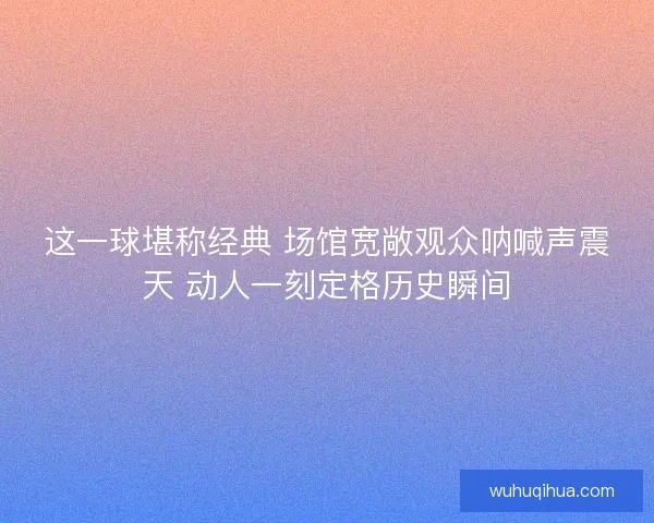 这一球堪称经典 场馆宽敞观众呐喊声震天 动人一刻定格历史瞬间